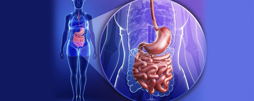 Prevention and treatment of the gastrointestinal tract